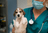 doctor-image