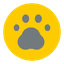 Veterinary Surgery