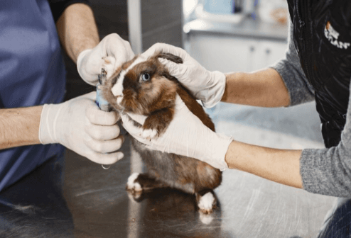 Diagnostic Procedures